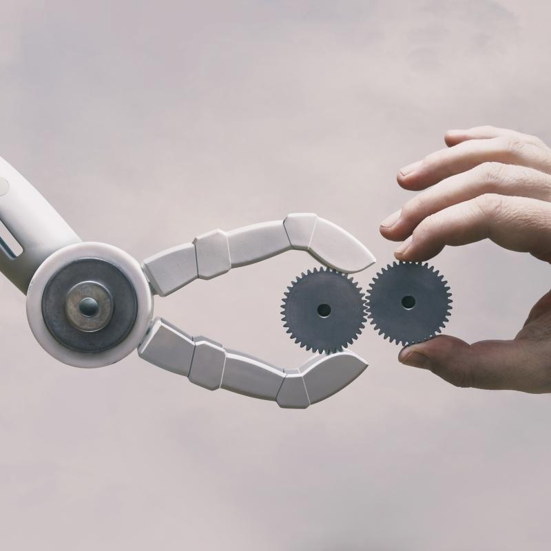 Lediga Tjänster på Sigma Evolution